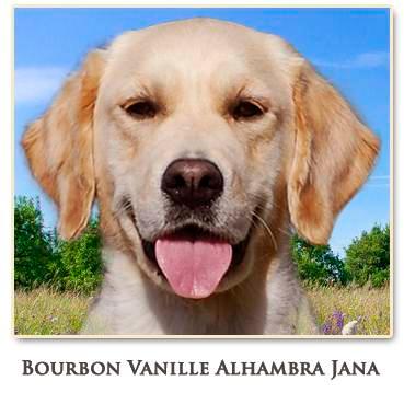 Bourbon Vanille Alhambra Jana
